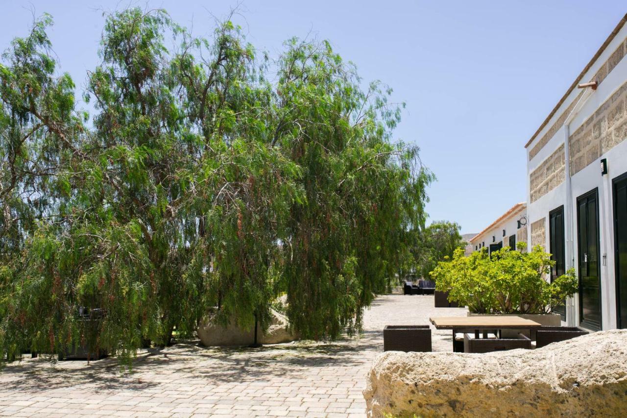 La Malvasia Arico Viejo Exterior photo